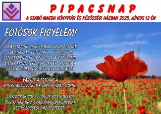 Pipacsnap a könyvtárban
